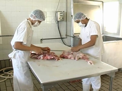 Imagens: Pedro Gratieri