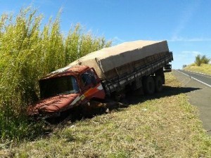 (foto: Ana Carolina / TV Sul)