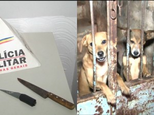 (foto: João Paulo Silva / TV Sul)