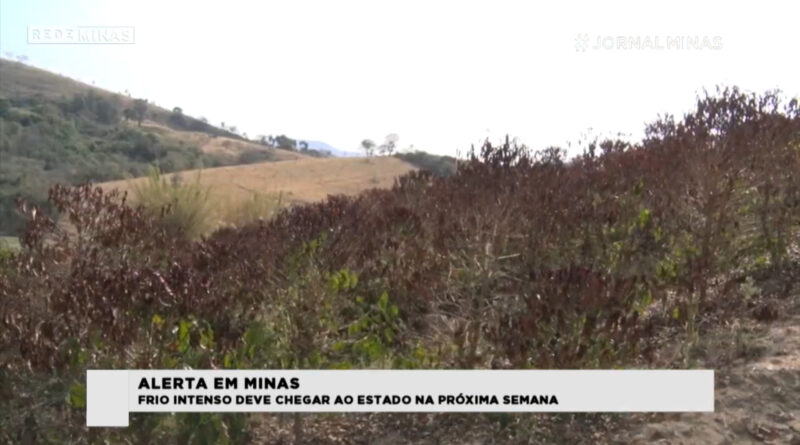 Alerta em Minas: frio intenso deve chegar o estado na próxima semana