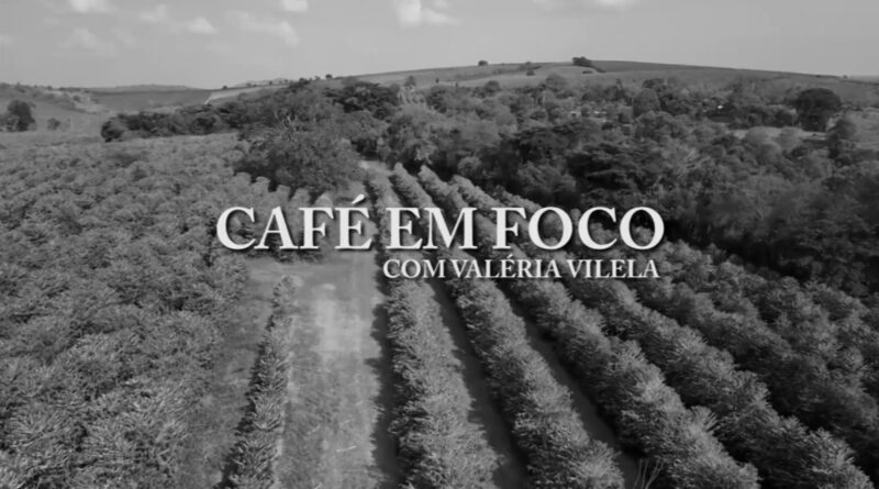 Café em Foco: cafeicultor cuidado na antecipação da colheita