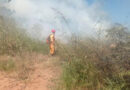 Bombeiros combatem incêndio em vegetação na tarde deste domingo