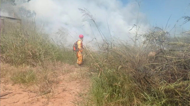 Bombeiros combatem incêndio em vegetação na tarde deste domingo
