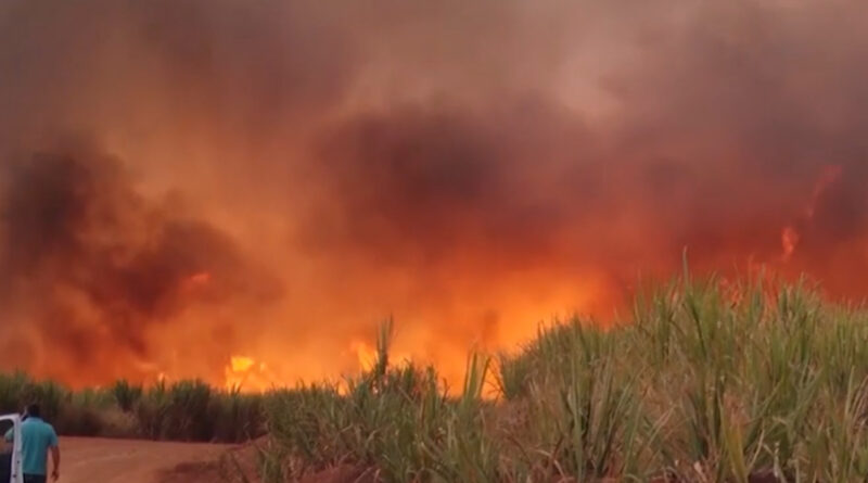 Incêndios em vegetação