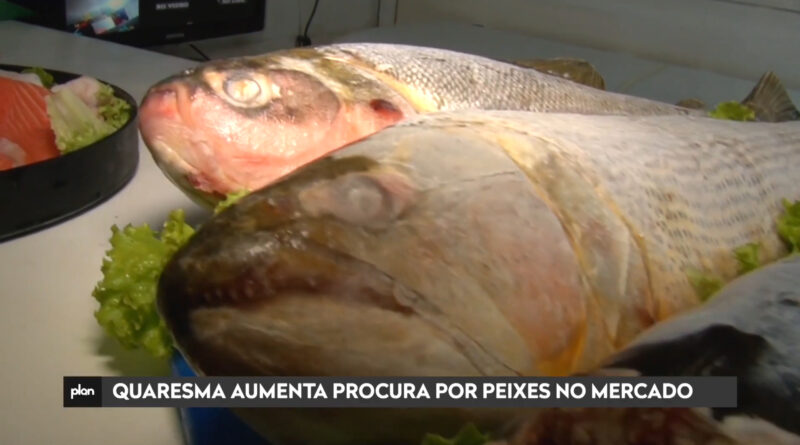 Quaresma aumenta procura por peixes no mercado