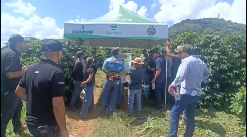 Cafeicultores participam de Dia de Campo sobre agricultura regenerativa no Sul de Minas
