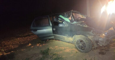 Três pessoas ficam feridas em acidente com animal na MGC-446