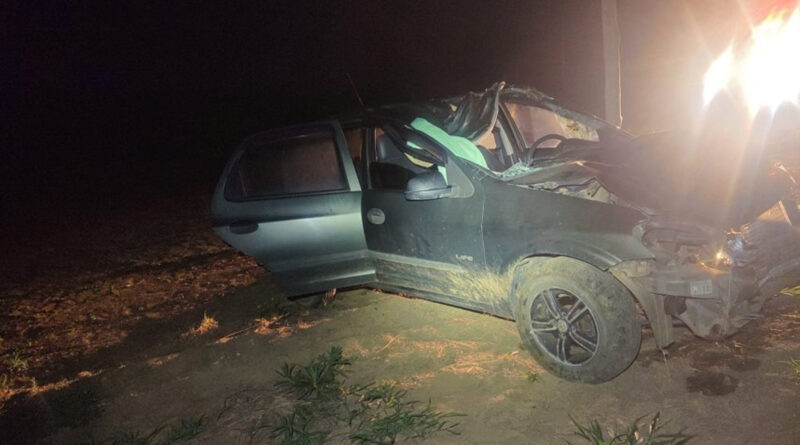 Três pessoas ficam feridas em acidente com animal na MGC-446