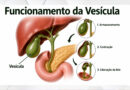 Cirurgia da vesícula está entre as mais realizadas