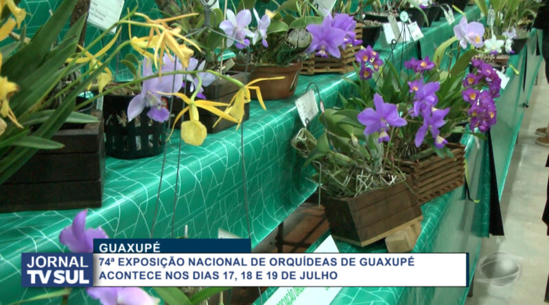 Vem aí a 74ª Exposição Nacional de Orquídeas de Guaxupé