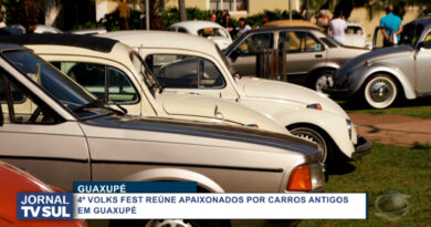 Volks Fest reúne apaixonados por carros antigos em Guaxupé