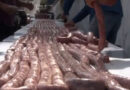 Linguiça gigante