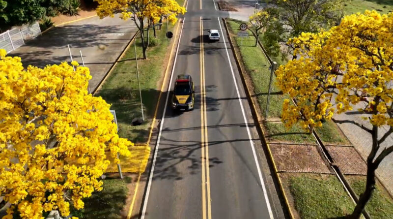 GUAXUPÉ: Sede da PMRv ganha colorido especial com floração do ipê-amarelo no Sul de Minas